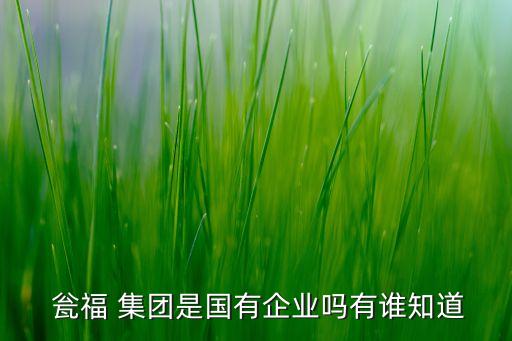  甕福 集團(tuán)是國(guó)有企業(yè)嗎有誰(shuí)知道