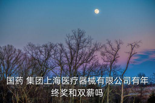 國藥 集團(tuán)上海醫(yī)療器械有限公司有年終獎和雙薪嗎