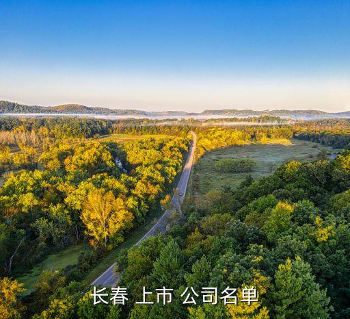 金冠電氣中國(guó)最大的上市公司,南陽(yáng)金冠電氣股份有限公司是上市公司嗎