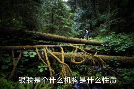  銀聯(lián)是個(gè)什么機(jī)構(gòu)是什么性質(zhì)