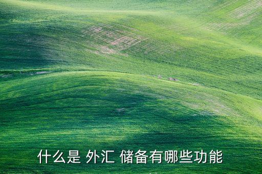 英國(guó)外匯儲(chǔ)備投資,2022英國(guó)外匯儲(chǔ)備