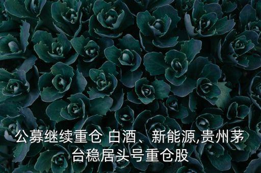 公募繼續(xù)重倉 白酒、新能源,貴州茅臺穩(wěn)居頭號重倉股