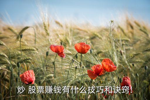 炒 股票賺錢有什么技巧和訣竅!