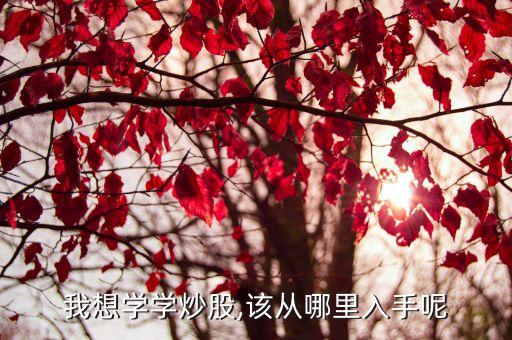 我想學(xué)學(xué)炒股,該從哪里入手呢