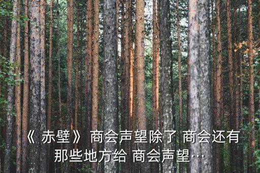 北京赤壁商會(huì),上海赤壁商會(huì)