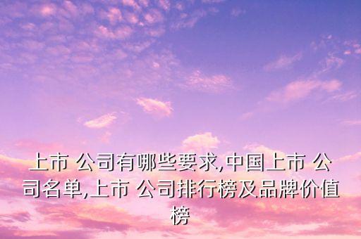 上市 公司有哪些要求,中國(guó)上市 公司名單,上市 公司排行榜及品牌價(jià)值榜