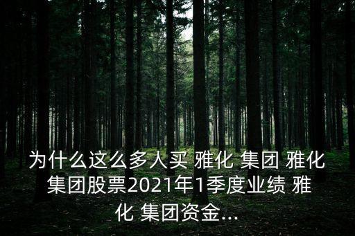 為什么這么多人買(mǎi) 雅化 集團(tuán) 雅化 集團(tuán)股票2021年1季度業(yè)績(jī) 雅化 集團(tuán)資金...