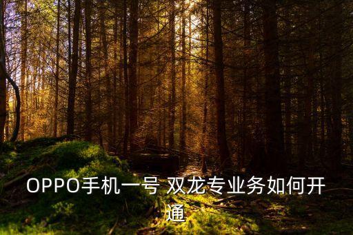 OPPO手機(jī)一號(hào) 雙龍專(zhuān)業(yè)務(wù)如何開(kāi)通