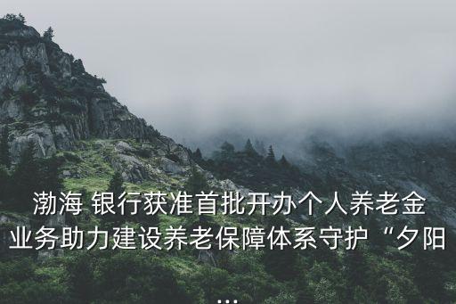  渤海 銀行獲準(zhǔn)首批開辦個人養(yǎng)老金業(yè)務(wù)助力建設(shè)養(yǎng)老保障體系守護(hù)“夕陽...
