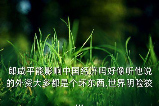  郎咸平能影響中國(guó)經(jīng)濟(jì)嗎好像聽他說的外資大多都是個(gè)壞東西,世界陰險(xiǎn)狡...