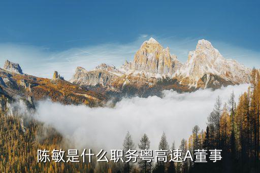 陳敏是什么職務(wù)粵高速A董事