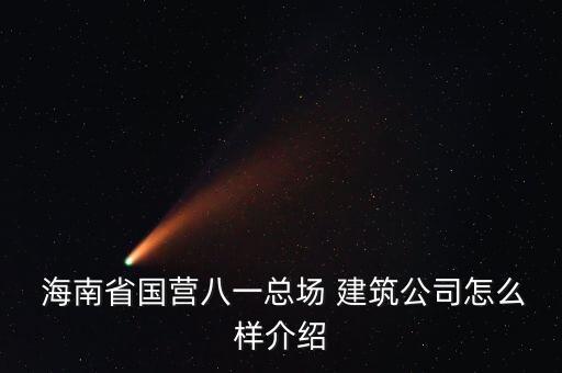  海南省國營八一總場 建筑公司怎么樣介紹