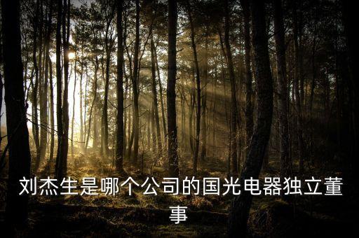 劉杰基金經(jīng)理,基金經(jīng)理排行榜前十名
