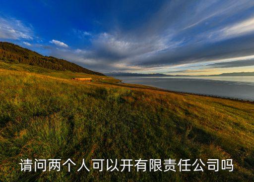 請(qǐng)問兩個(gè)人可以開有限責(zé)任公司嗎