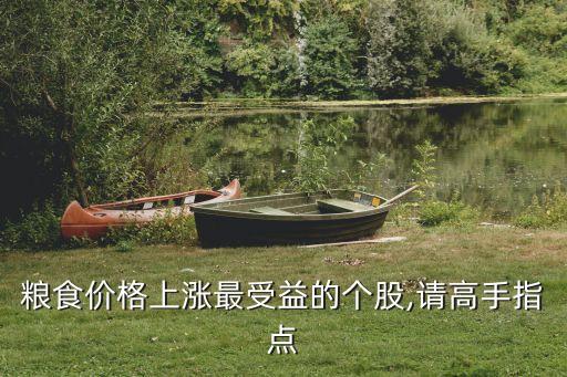 糧食價格上漲最受益的個股,請高手指點(diǎn)