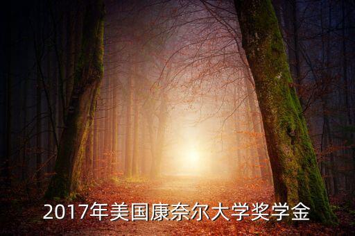 2017年美國(guó)康奈爾大學(xué)獎(jiǎng)學(xué)金