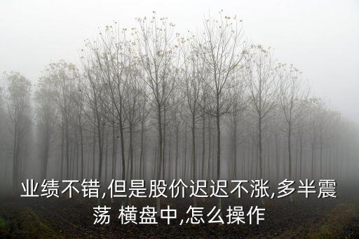 業(yè)績不錯(cuò),但是股價(jià)遲遲不漲,多半震蕩 橫盤中,怎么操作