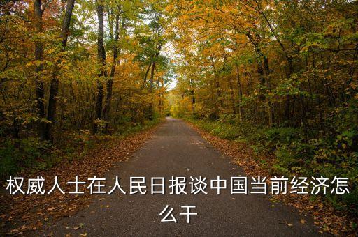 權(quán)威人士在人民日報談中國當(dāng)前經(jīng)濟(jì)怎么干
