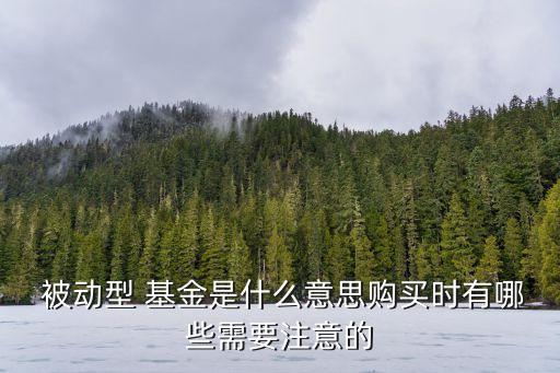  被動(dòng)型 基金是什么意思購(gòu)買時(shí)有哪些需要注意的