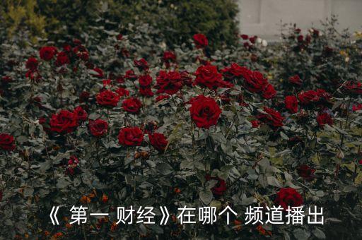 《 第一 財經(jīng)》在哪個 頻道播出