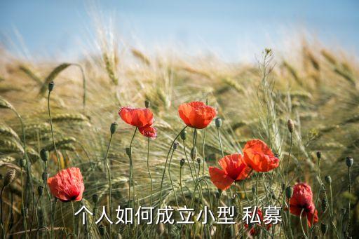 個人如何成立小型 私募