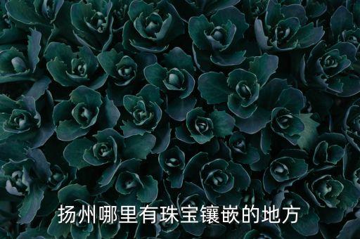 揚(yáng)州哪里有珠寶鑲嵌的地方