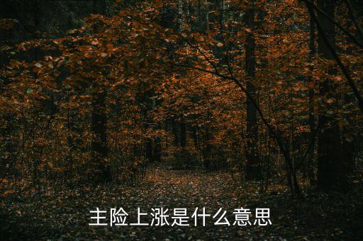 主險(xiǎn)上漲是什么意思