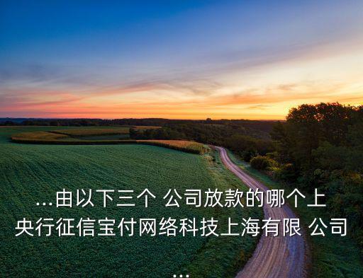 ...由以下三個 公司放款的哪個上央行征信寶付網(wǎng)絡(luò)科技上海有限 公司...