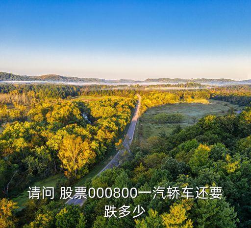 請(qǐng)問 股票000800一汽轎車還要跌多少
