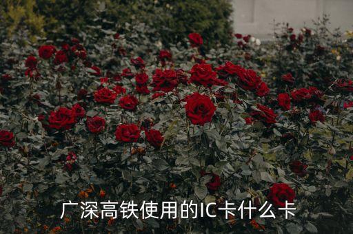  廣深高鐵使用的IC卡什么卡