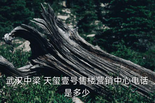 武漢中梁 天璽壹號(hào)售樓營(yíng)銷(xiāo)中心電話是多少