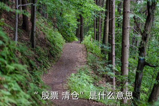已清倉股票,東方財(cái)富怎么查看已清倉股票
