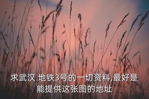 求武漢 地鐵3號的一切資料,最好是能提供這張圖的地址