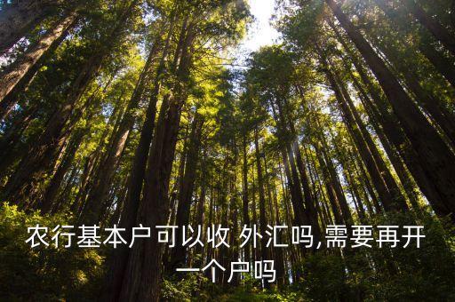 農(nóng)行基本戶可以收 外匯嗎,需要再開一個(gè)戶嗎