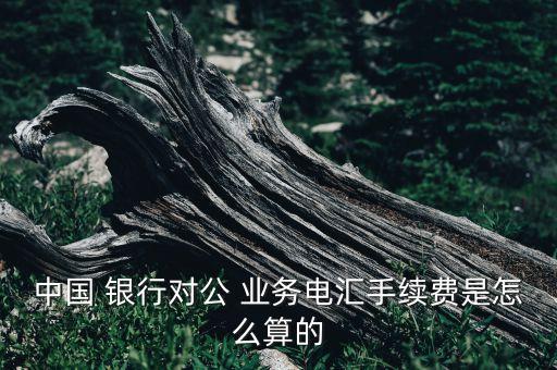 中國 銀行對公 業(yè)務(wù)電匯手續(xù)費是怎么算的