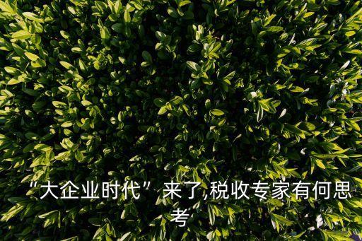 “大企業(yè)時(shí)代”來(lái)了,稅收專(zhuān)家有何思考