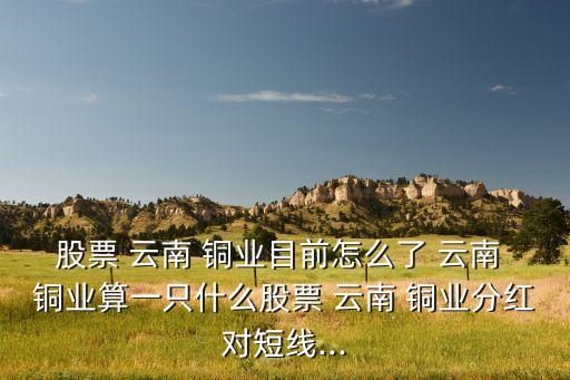 云南銅業(yè)投資價(jià)值,江西銅業(yè)和云南銅業(yè)投資價(jià)值