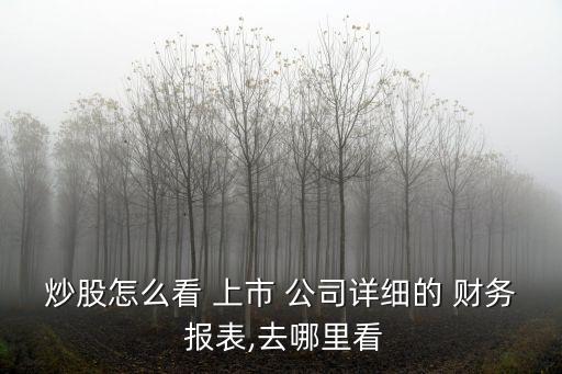 炒股怎么看 上市 公司詳細(xì)的 財務(wù) 報表,去哪里看