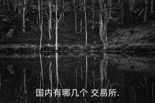國內(nèi)有哪幾個 交易所.
