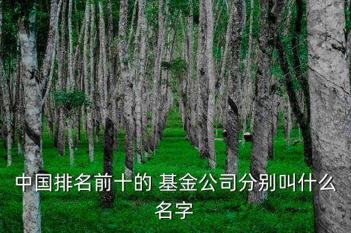 中國(guó)排名前十的 基金公司分別叫什么名字
