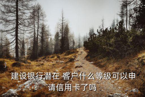  建設(shè)銀行潛在 客戶什么等級(jí)可以申請(qǐng)信用卡了嗎