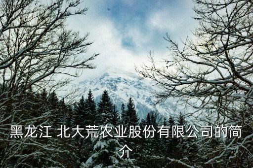 黑龍江 北大荒農(nóng)業(yè)股份有限公司的簡(jiǎn)介