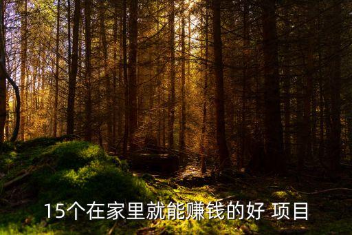 15個(gè)在家里就能賺錢的好 項(xiàng)目
