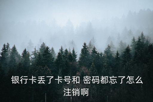 銀行賬戶忘記密碼能銷戶嗎,社?？ㄣy行賬戶忘記密碼怎么辦