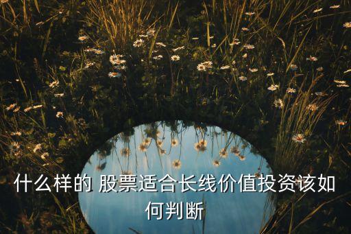 什么樣的 股票適合長(zhǎng)線價(jià)值投資該如何判斷