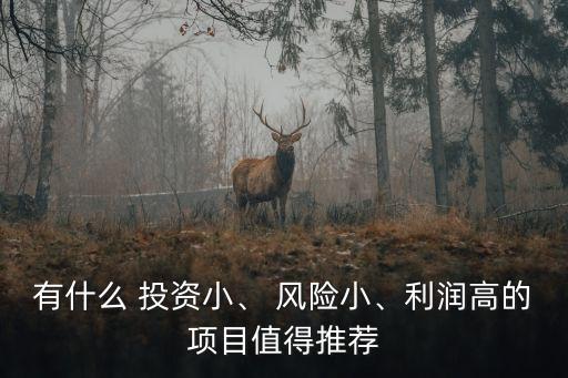 投資風(fēng)險(xiǎn)較小,風(fēng)險(xiǎn)較小的理財(cái)產(chǎn)品