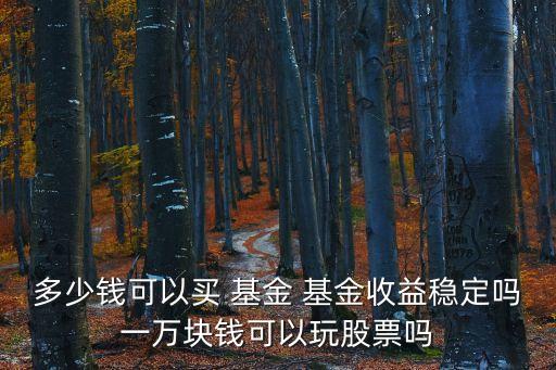 多少錢可以買 基金 基金收益穩(wěn)定嗎一萬塊錢可以玩股票嗎