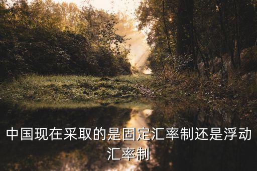 中國(guó)實(shí)行什么貨幣制度,什么是整個(gè)貨幣制度的基礎(chǔ)