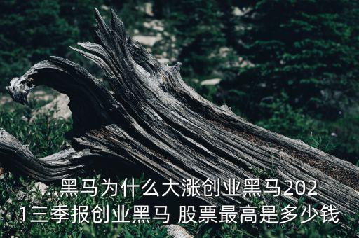 ...黑馬為什么大漲創(chuàng)業(yè)黑馬2021三季報(bào)創(chuàng)業(yè)黑馬 股票最高是多少錢