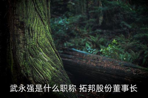 武永強(qiáng)是什么職稱 拓邦股份董事長